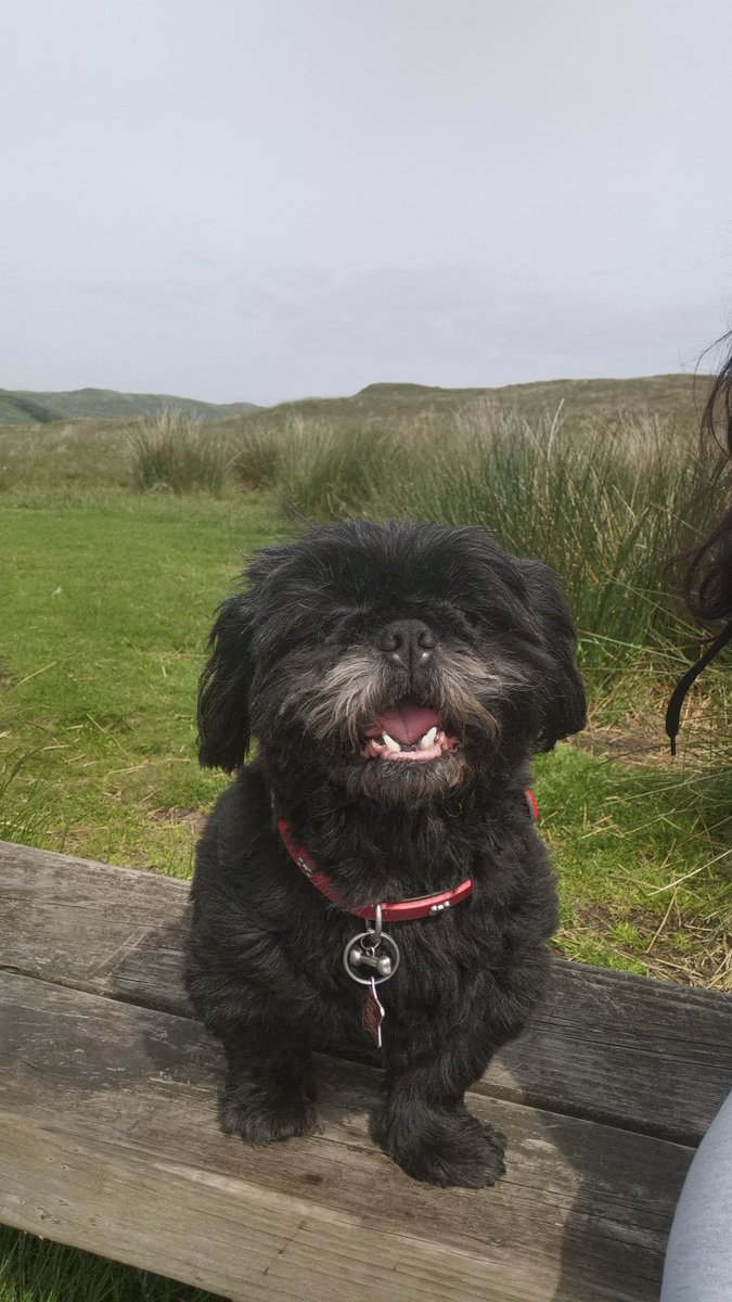 Rachel Brooks tweet media