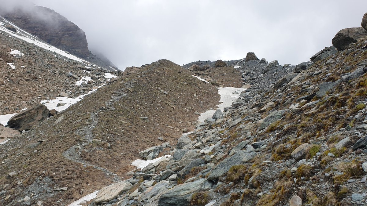 subfossilguy's tweet photo. Wonderful geomorphology (weather... less 🌧) today at Ghiacciaio Grande di Verra (Val d'Ayas, Aosta)... one of the loveliest moraine system in the Alps. Moraine dammed lake, pre-LIA ridges, etc... 🥰 https://t.co/n16WdEE1Wf