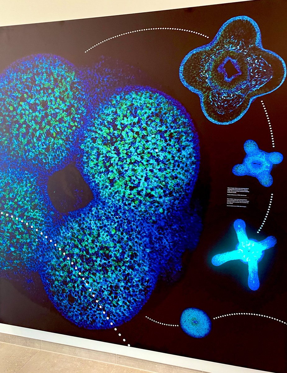 A productive visit to <a href="/EmblImaging/">EMBL Imaging Centre</a>
