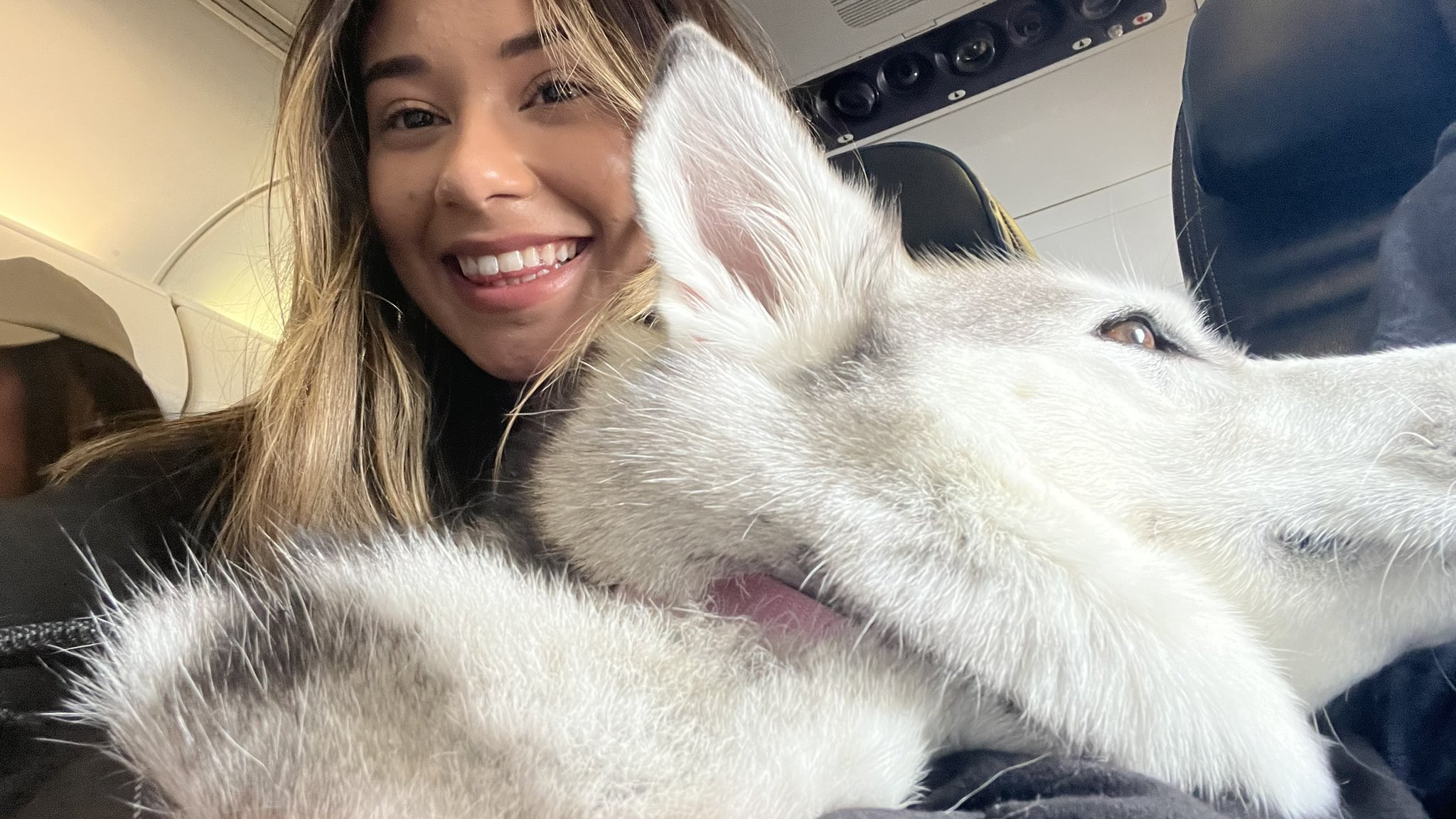 TW Pornstars Twitter Guess What State We Are Off To tw-pornstars-twitter-guess-what-state-we-are-off-to