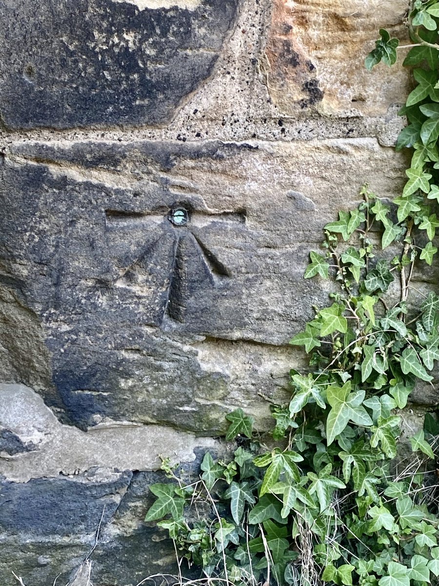 HellingtonBoots's tweet image. A visit to All Saints Church in Darfield today. 🥾
A beautiful old church with fascinating stonework and an equally interesting grave yard.

And the main draw today was the fabulous cut-mark with bolt. #OSBenchmarks #CutMark 
#AllSaintsChurch #Darfield #LegsAndLaces @bmdorguk