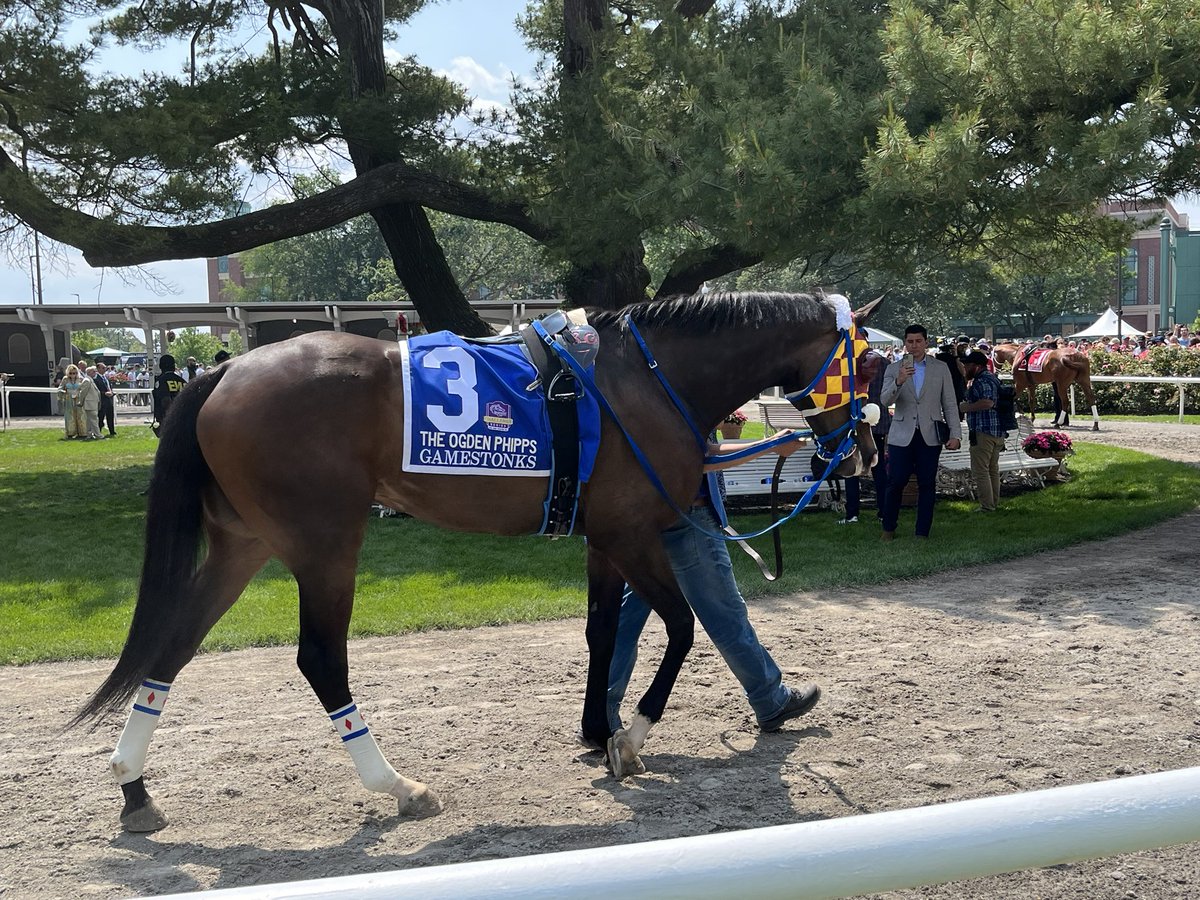Congrats <a href="/DH__Racing/">Designated Hitters Racing</a> <a href="/browch05/">Chris Brown</a> <a href="/katiejbrown17/">Katie Brown</a> #Gamestonks in the Ogden Phipps <a href="/TheNYRA/">NYRA (🗽)</a> She was looking fabu in the paddock!