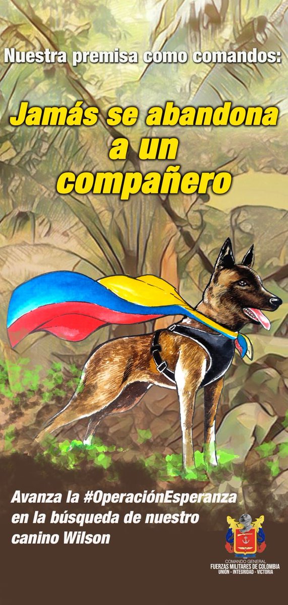 ¡Jamás se abandona a un compañero! 

Todos unidos para recuperar a nuestro canino Wilson en la selva. 

¡La operación no finaliza hasta encontrar a nuestro #AmigoDe4Patas!