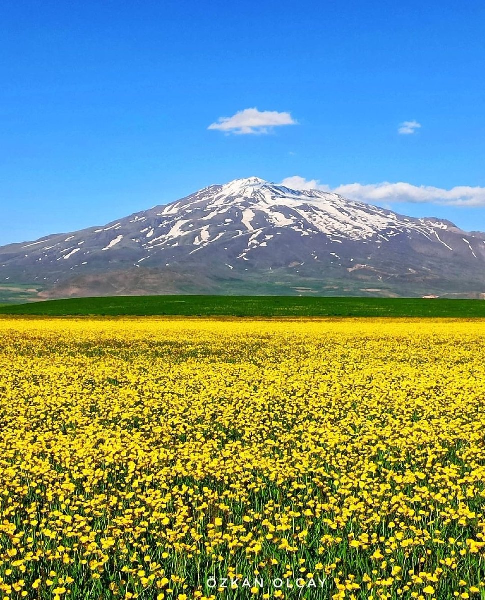 TarihiBitlis's tweet photo. Süphan Dağı 🗻

#bitlis #adilcevaz #süphandağı https://t.co/VlXOdDdhuQ