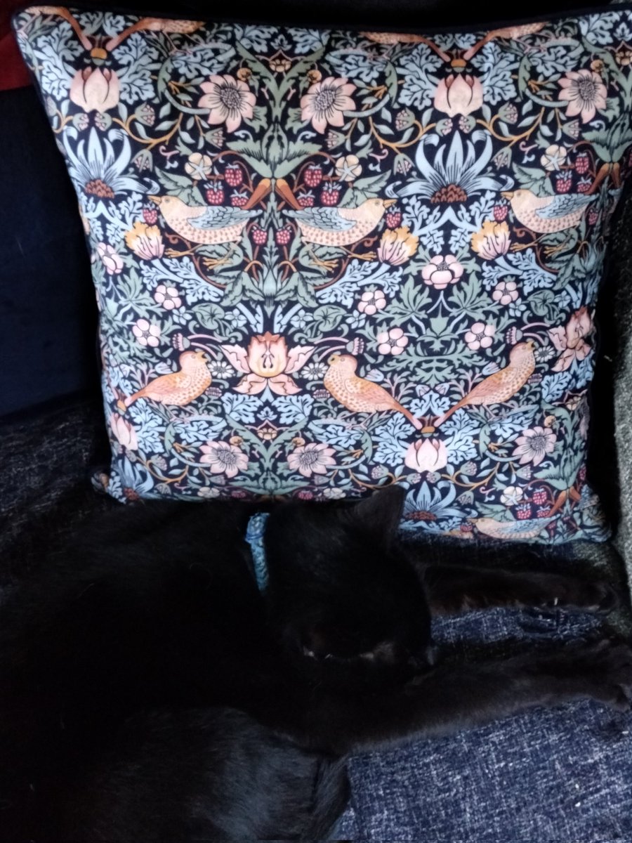 celestine__'s tweet photo. @McMount80 @QEDcon Admire my cushions! https://t.co/5KFZIYo6Cv