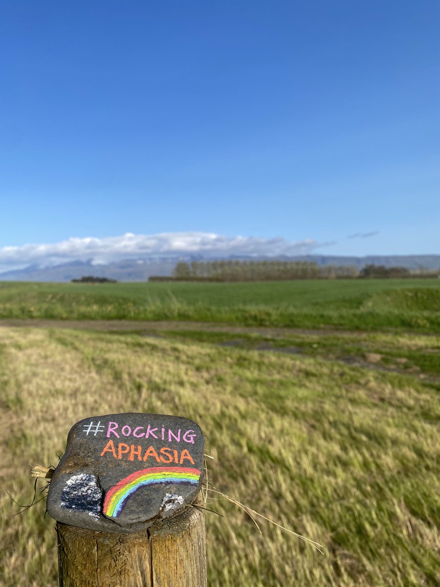 #rockingaphasia in Iceland, first (?) rock placed 😁👏🏻 #NAC23