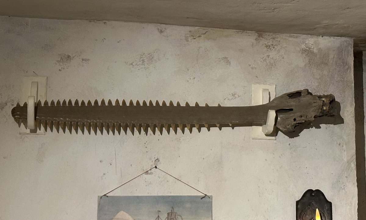 drdan_o's tweet photo. Galleries of @MuseumofLondon - Sailortown: Camels in Bignold’s animal emporium, a sawfish skull in the lodging house, drunken paper soldiers at the printseller’s and the curious house which I notice they a lot of people miss right near the end  #MoLD20 https://t.co/730rqAiioX