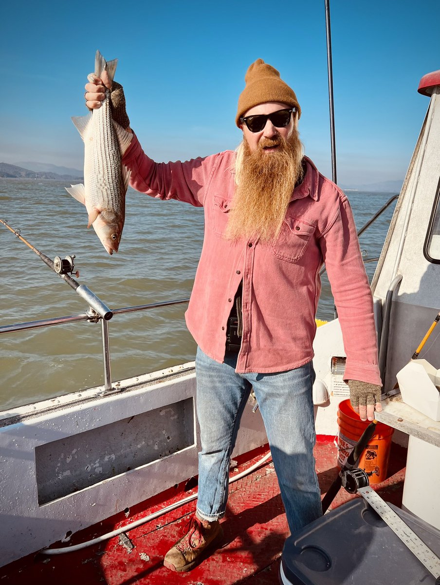 Shark fishing in San Pablo Bay!! Catching Striped Bass, Leopard Sharks and Bat Rays!
youtube.com/shorts/f22yeVT…