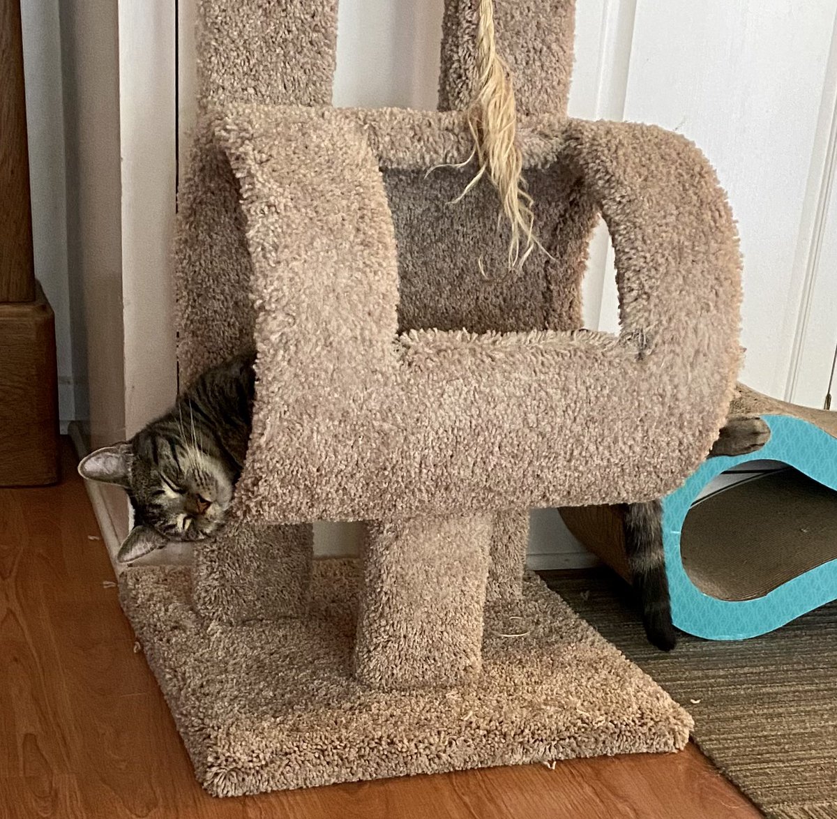 Christina Ritter tweet media