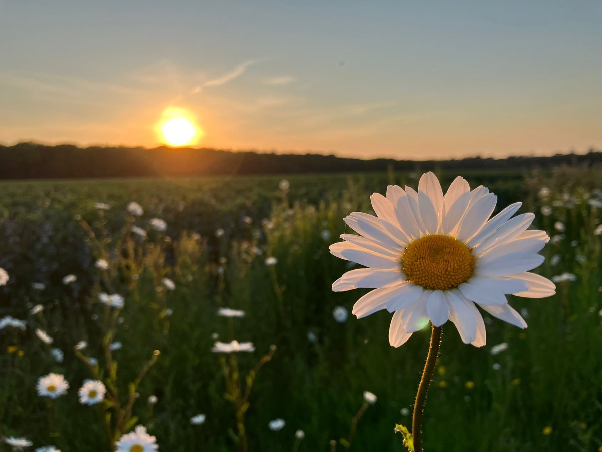 Only a 15 degree rise in temperature in 24 hrs. #Norfolk