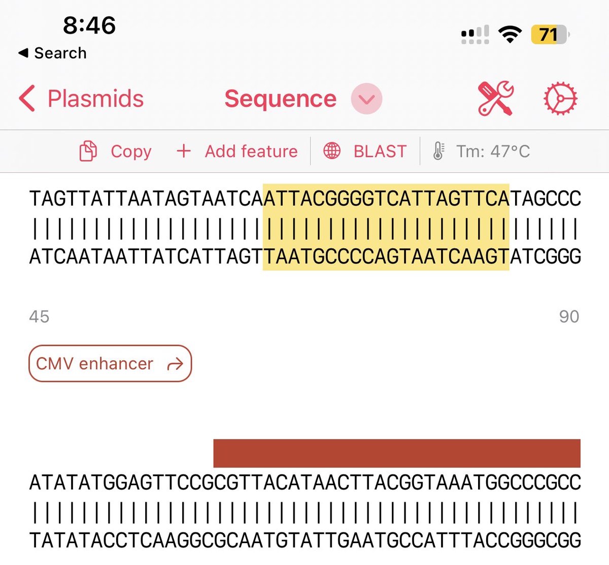 plasmidsapp's tweet photo. Tm estimation! Find the new feature in the latest release. https://t.co/M9a1eJrTyN
