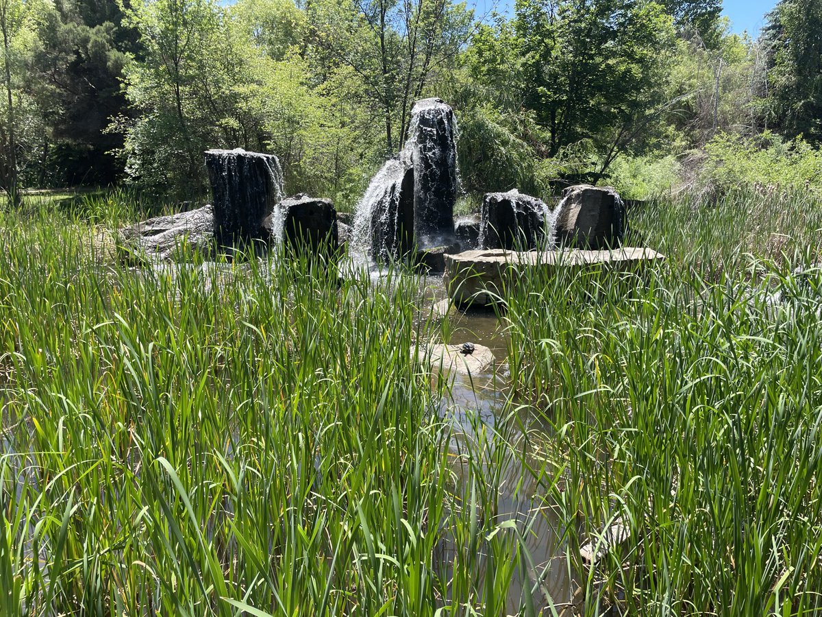 Keith Ridler tweet media