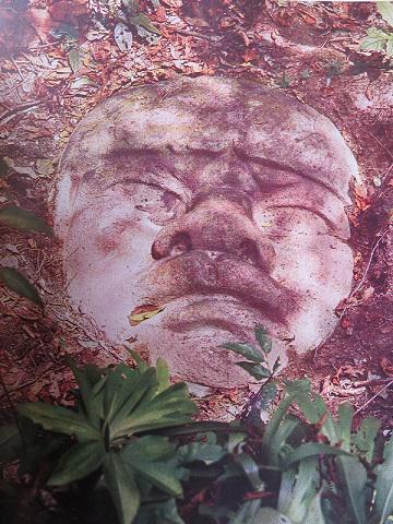 historia_mexico's tweet photo. Cabeza #olmeca (1200- 400 a.C) https://t.co/49QZm8KWEe