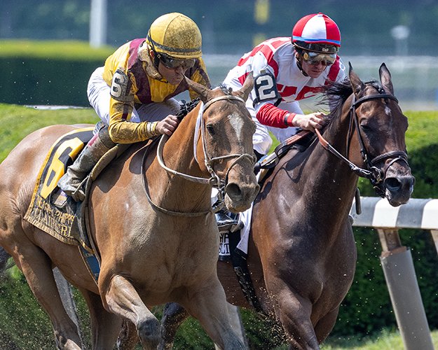 BH_AEberhardt's tweet photo. Fast and beautiful stretch run for back to back wins in G1 #OgdenPhipps for #Clairiere @JRosarioJockey  @TheNYRA for Steve Asmussen b/o @StonestreetFarm @barbarabanke @BreedersCup #BCChallenge #Distaff @LonginesEq #Curlin @HillnDaleFarm @Skipscam fotos More from @Barn63Forever https://t.co/0VqEARAuRd