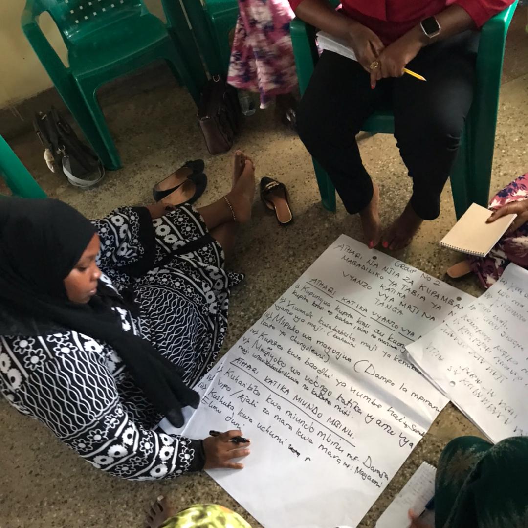 1/2
Young women coming from 4 Streets of Chongoleani Ward in Tanga City Council have analysed climate and Environmental Impact to their Livelihoods using the Natural Resouces Mapping, Access & Control Matrix Reflection Action Tools to guide them through the process. 
#GreenJobs
