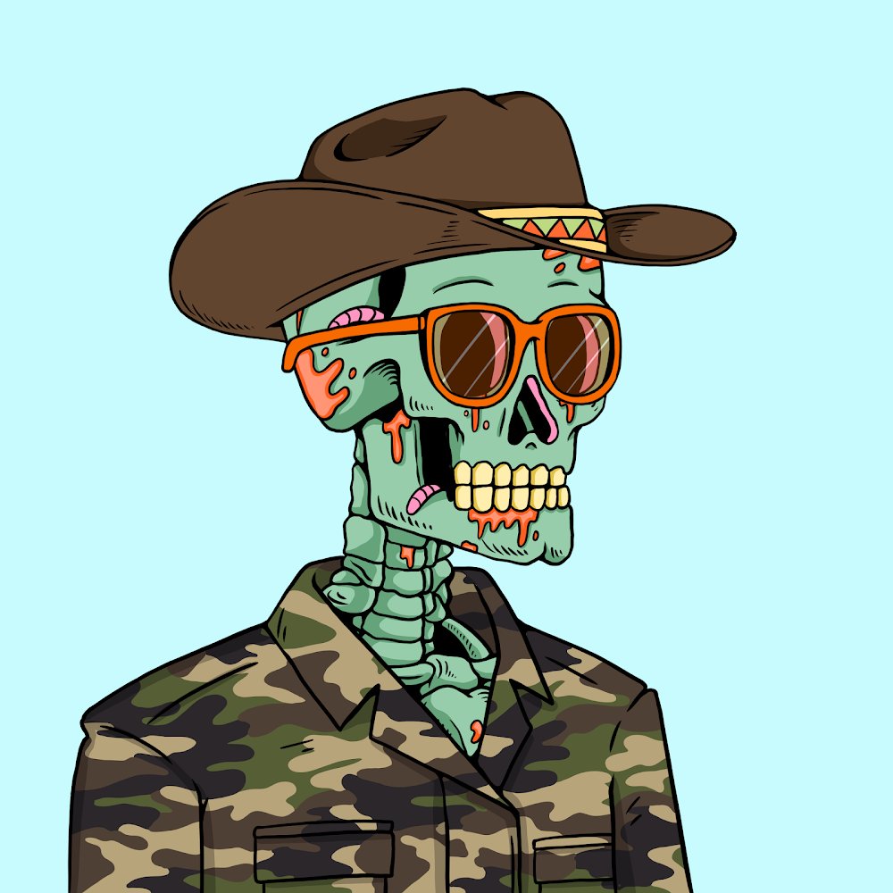 ambitiouspirat3's tweet photo. Still buying @solana. Still buying @FamousFoxFed rafffles. Just won this bad boy this morning @SecretSkellies thank you @TheRaFFFleDAO! https://t.co/d8LHUfIn2s