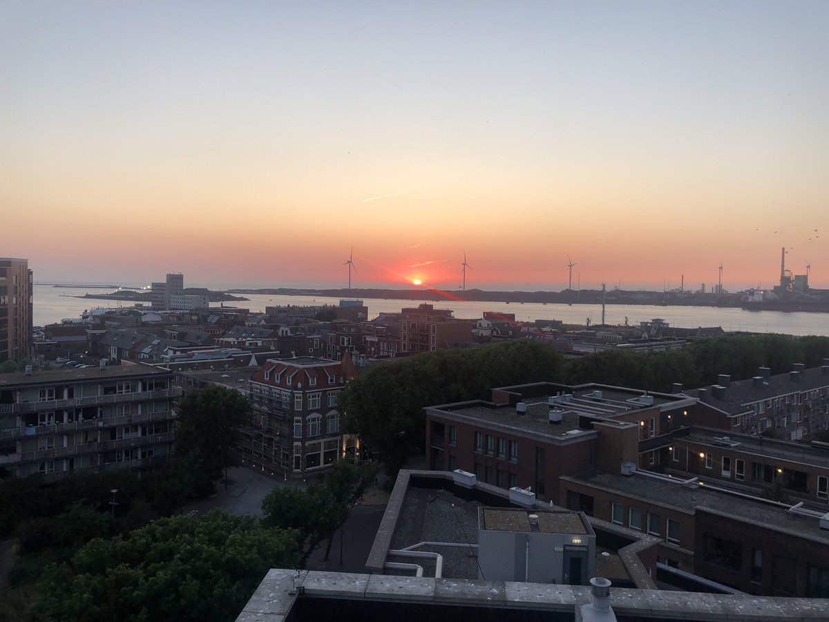 Ron Davio tweet media