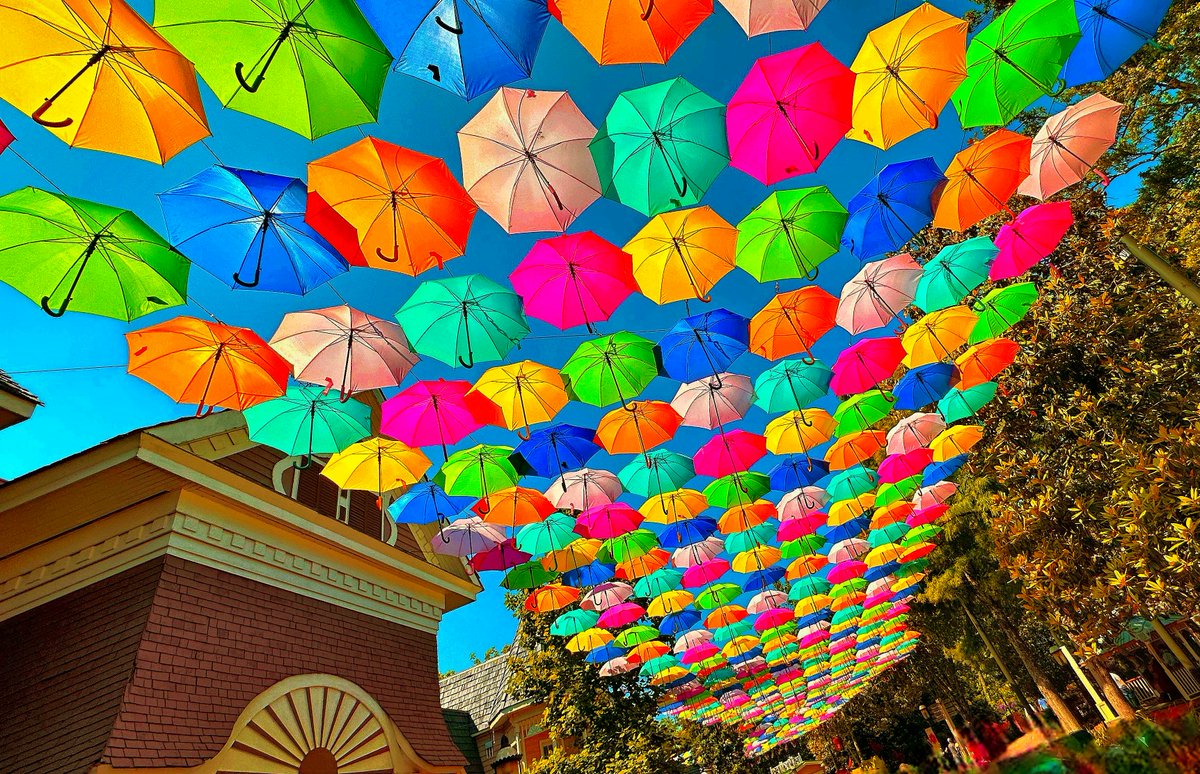 I only just saw these last weekend, and now it is just about time for them to go. #UmbrellaSky #FlowerAndFoodFestival <a href="/Dollywood/">Dollywood Parks & Resorts</a>