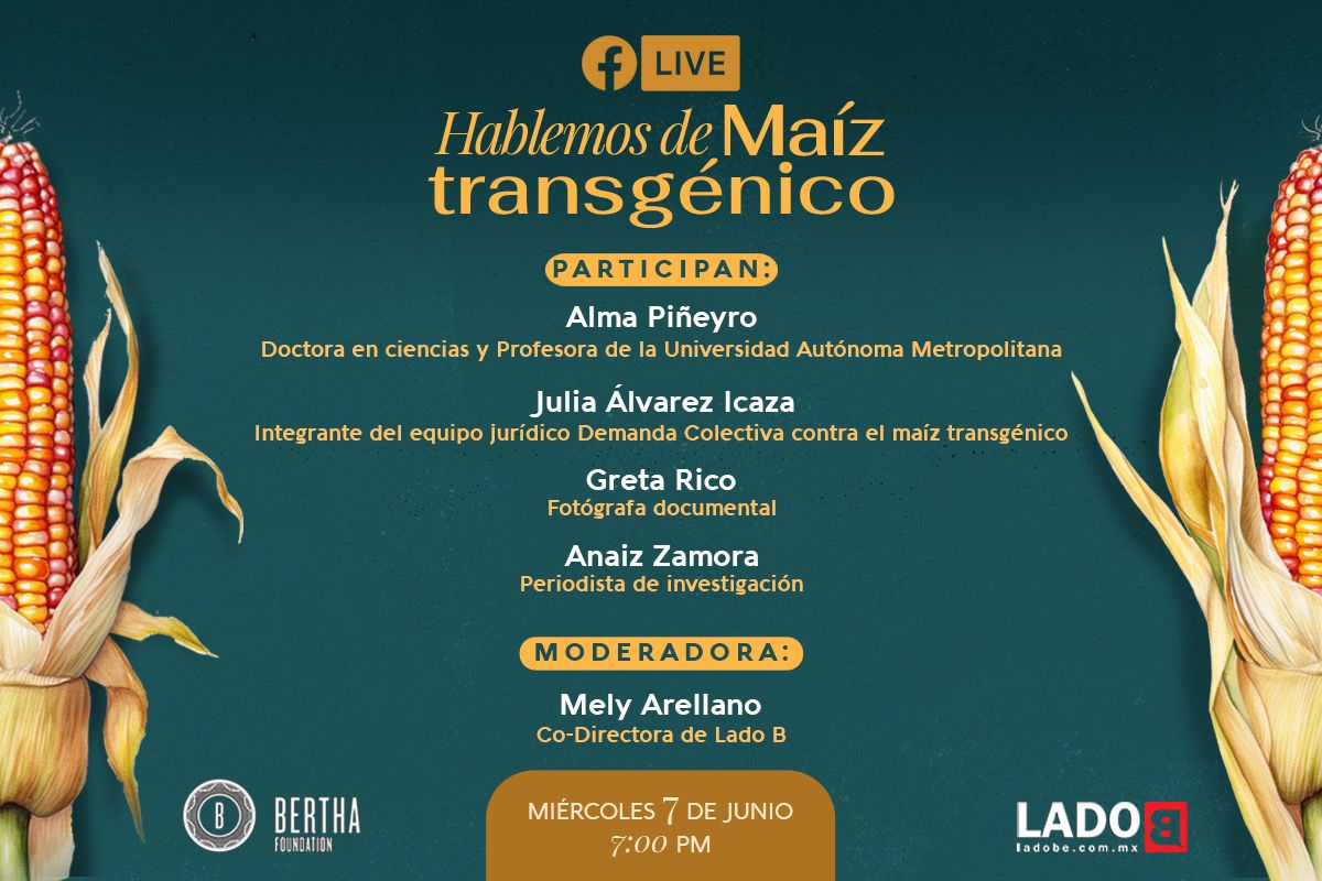 ¿Te perdiste la charla "Hablemos de maíz transgénico", organizada por <a href="/ladobemx/">LadoB</a>? 

🌽 Aquí puedes ver la conversación con Dra. Alma Piñeyro de la UAM, <a href="/Jualicra/">Julia Álvarez Icaza Ramírez</a> de @MxvsGMO, la fotógrafa @GretaRico y la periodista <a href="/anaichaz/">AnaizconZ</a> 👉🏽 facebook.com/ladobemx/video… 

#SinMaízNohayPaís