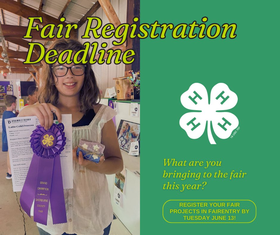 Sherburne4H's tweet photo. The fair registration deadline is quickly approaching! Register your projects in #FairEntry (https://t.co/OMo7KKNbW2) by this Tuesday, June 13! Learn more at https://t.co/3iGLYAZ18h https://t.co/z0ZeuAZb37