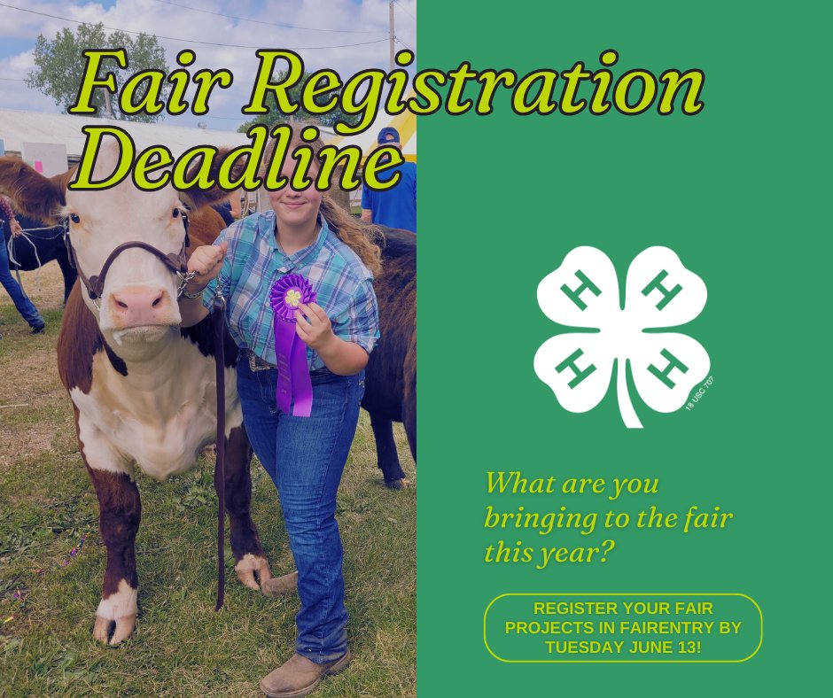 Sherburne4H's tweet photo. The fair registration deadline is quickly approaching! Register your projects in #FairEntry (https://t.co/OMo7KKNbW2) by this Tuesday, June 13! Learn more at https://t.co/3iGLYAZ18h https://t.co/z0ZeuAZb37