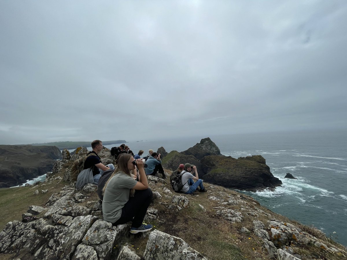 A successful #BTOYouth walk today from lizard village to kynance cove and back. After a foggy start, it cleared up nicely and turned into a nice day with an abundance of invertebrates. Avian highlights included 6 cuckoos, a couple of Chough and good numbers of manxies offshore!