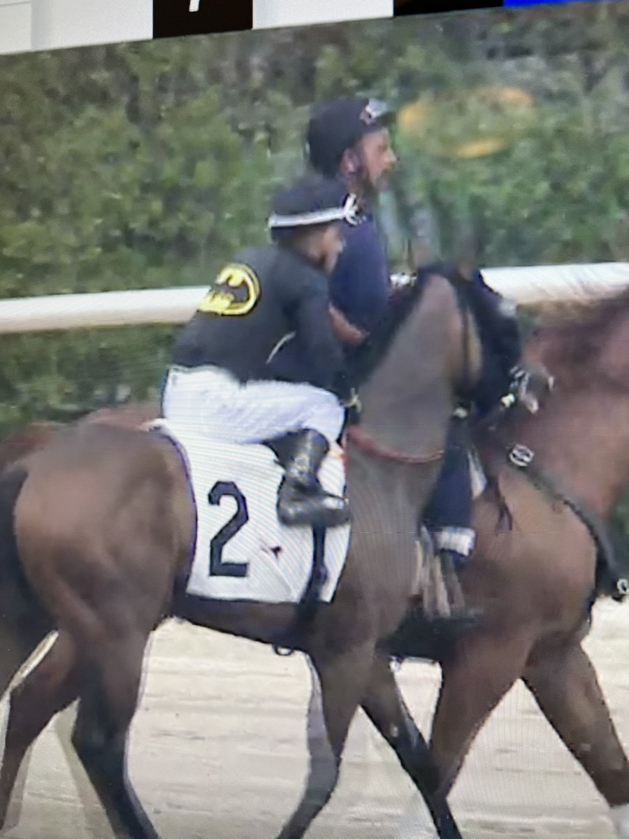 Second race for Corinth who I own in GoS. How did the jockey get permission to wear a Batman silks!?