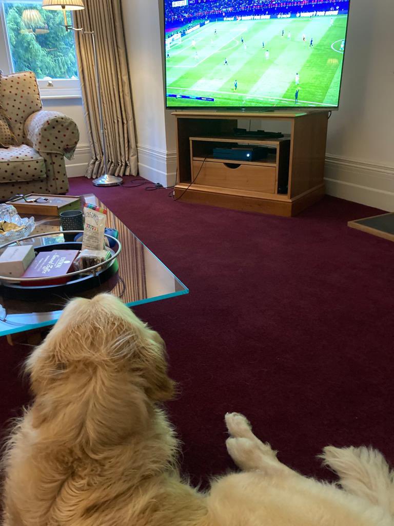 Would love it if City chokes it tbh