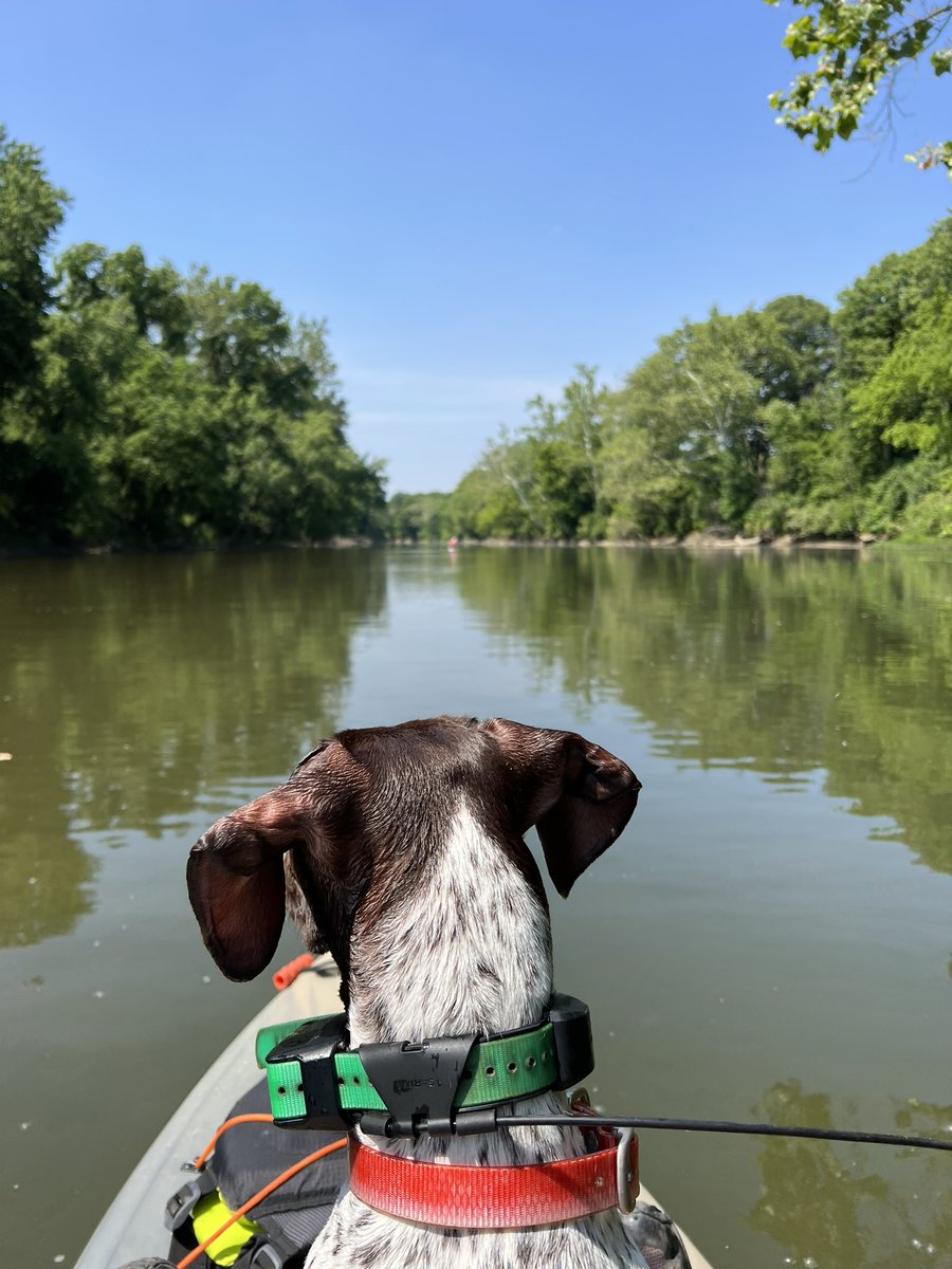 ADElrod's tweet photo. 5 miles on the White River this morning was a perfect way to enjoy a kid-free morning. Grateful for Mother Nature! (I spy the iconic @ConnerPrairie balloon!) https://t.co/3FL79iUN1S