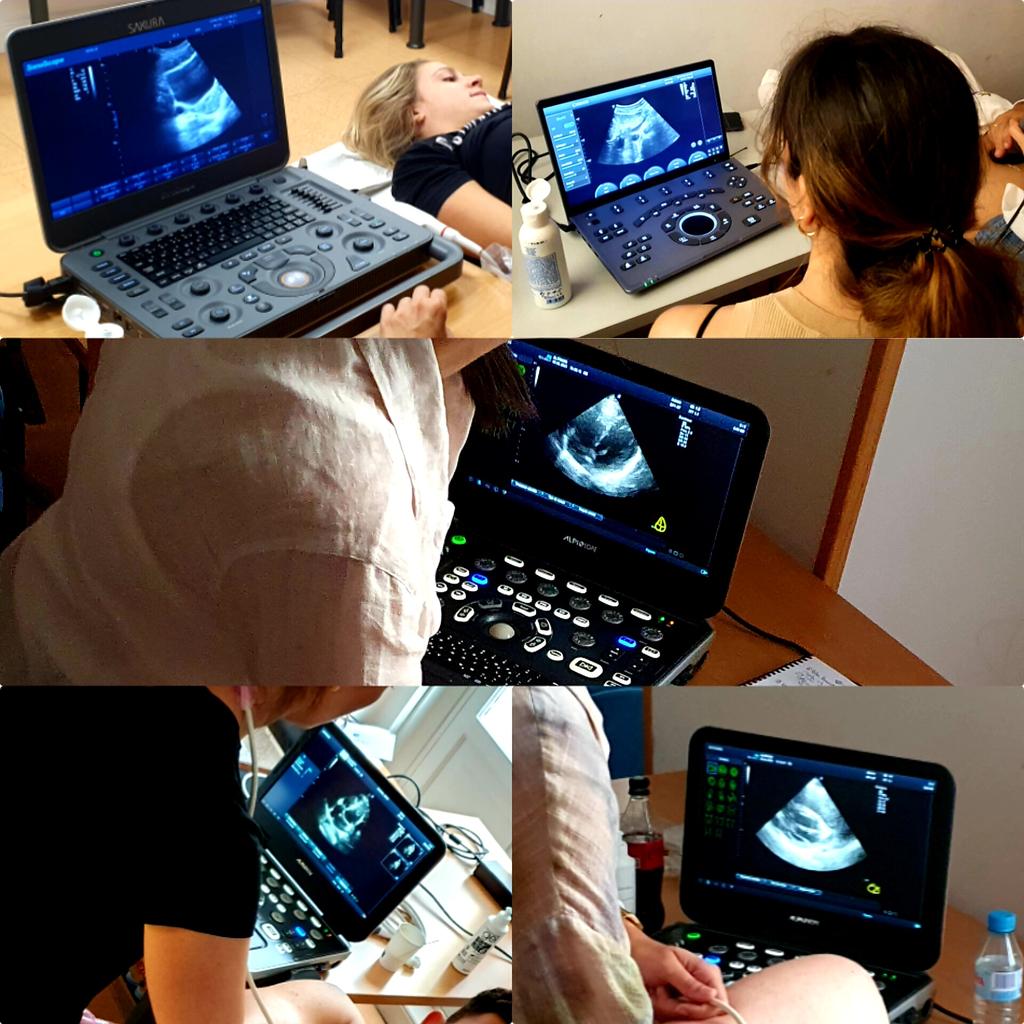 Imagen #Alpinion y #Sakura... un valor en las actividades formativas presenciales de @ecosemfyc <a href="/semfyc/">semFYC</a> 👏👏 
👇