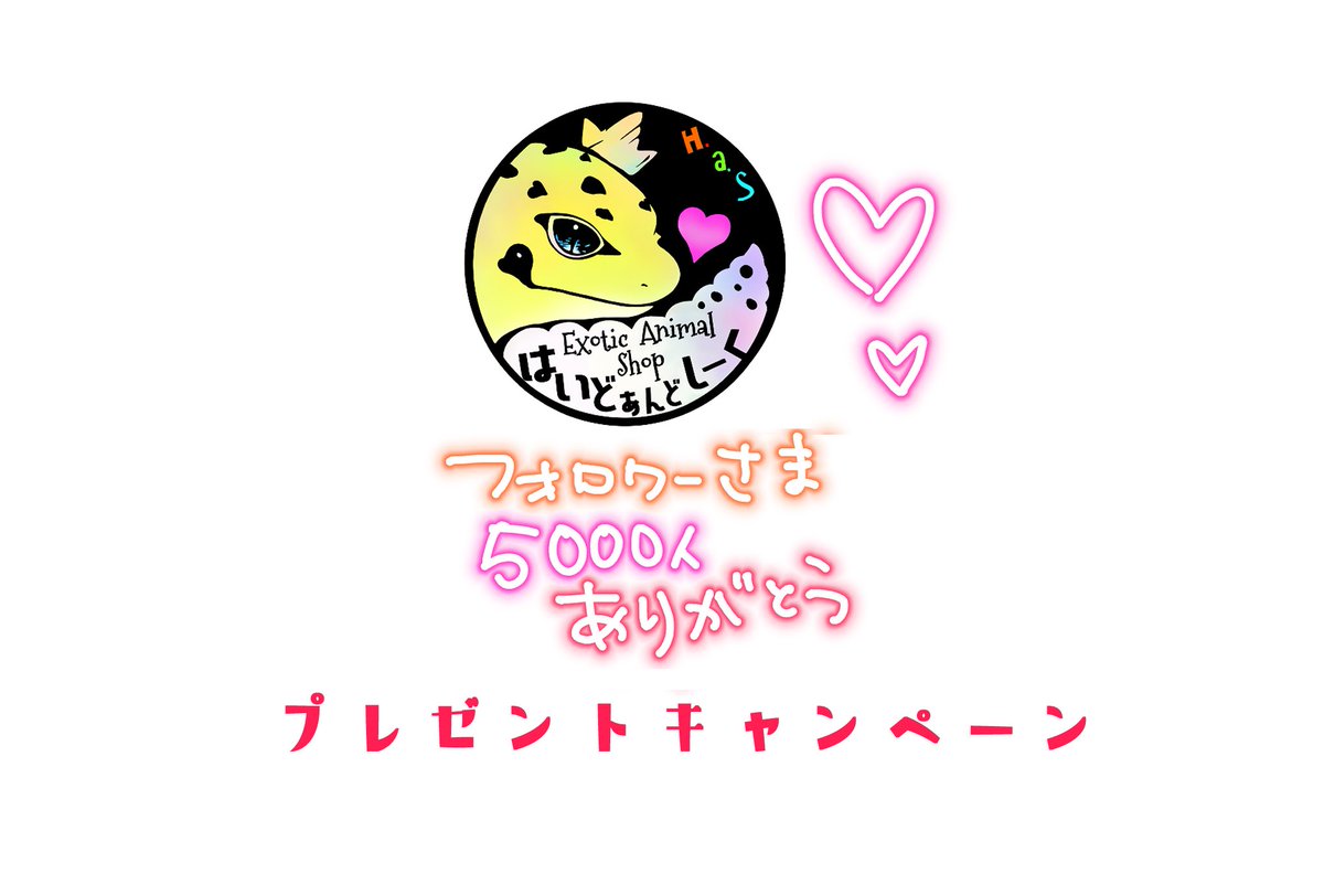 はいどあんどしーく.🎃エキゾ&えさやさん tweet media