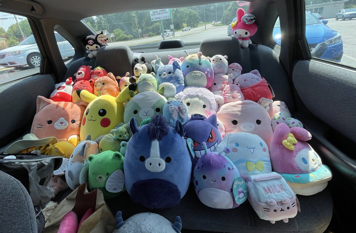 happy pride from my car squishmallows that ive (sort of) arranged in rainbow order