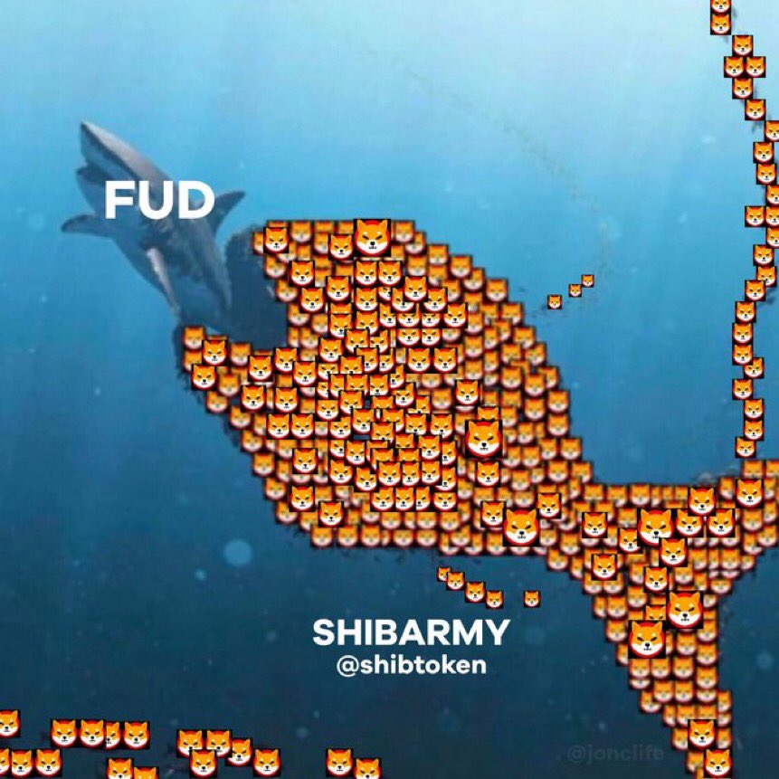 America First 🇺🇸 #SHIBAINU | SHIBARIUM I tweet media