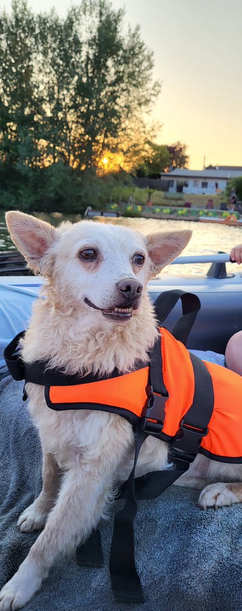 Michelleeee tweet media