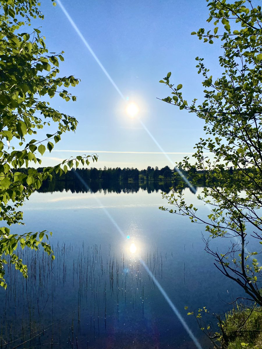 Melkein puhkesin laulamaan Keski-Suomen kotiseutulaulun. En halunnut pilata hyvää biisiä, joten päätin olla hetken ihan hiljaa.