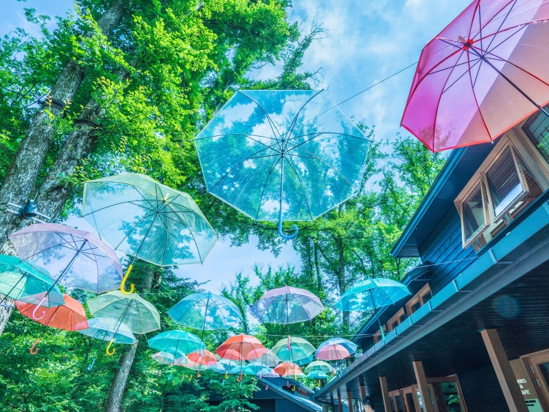 梅雨をどう楽しむか！こんな所に行ってみるのはどう？
カラフルな傘が彩る「傘のアーケード」
軽井沢の緑が生き生きと輝くこの季節、空を見上げて晴れやかな気分になれそうだね！「軽井沢アンブレラスカイ」開催中（6月2日～7月9日）おはよう！今日は傘の日。＃おは戦50611jn🌞　ちなみに