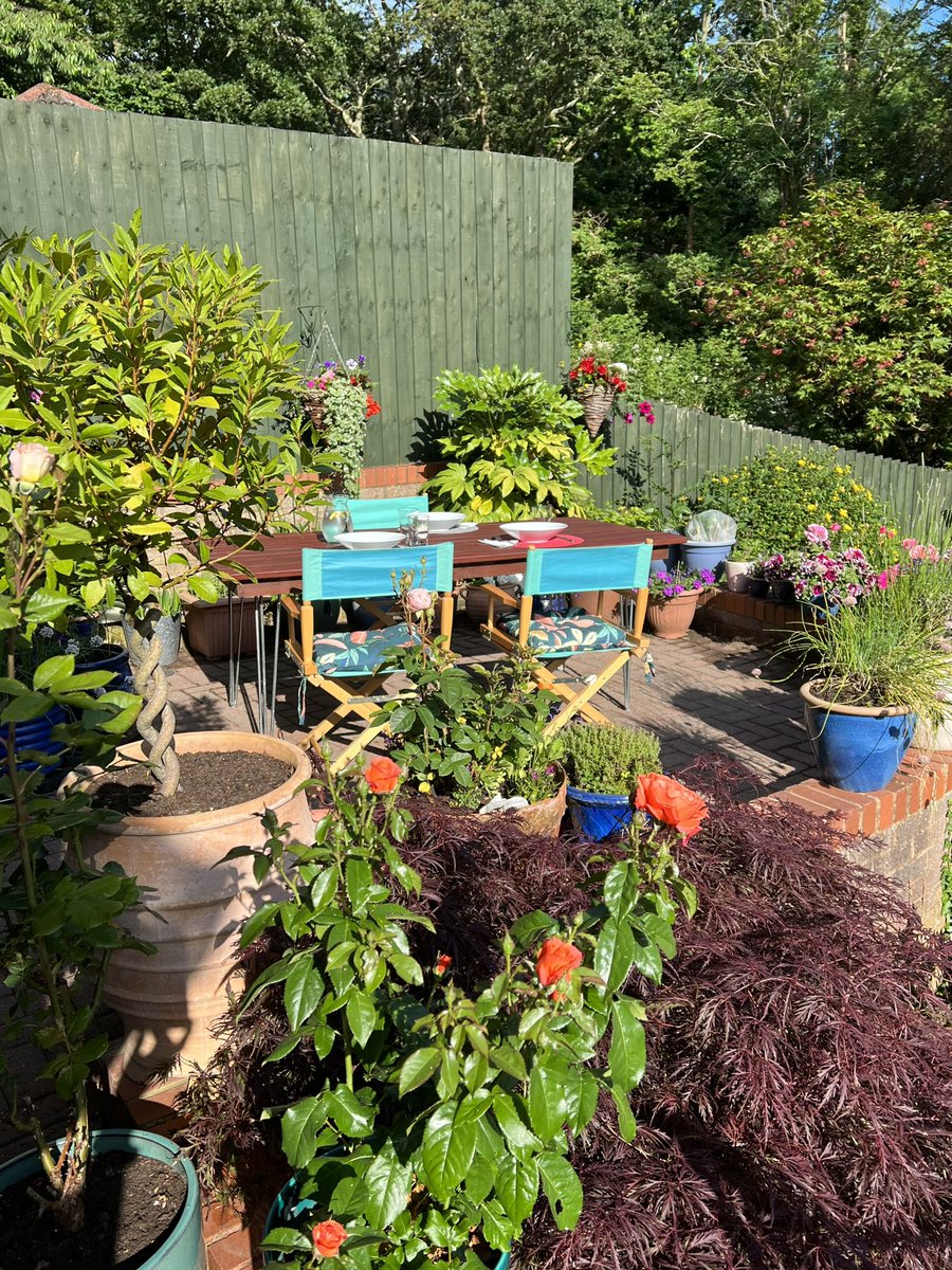 bryce_isobel's tweet photo. Summer lovin’ 🎶 lovin’ Summer. #JuneDays #SummerNights #Cornwall #barbecues #eatingoutdoors https://t.co/qFG8fXgMVj