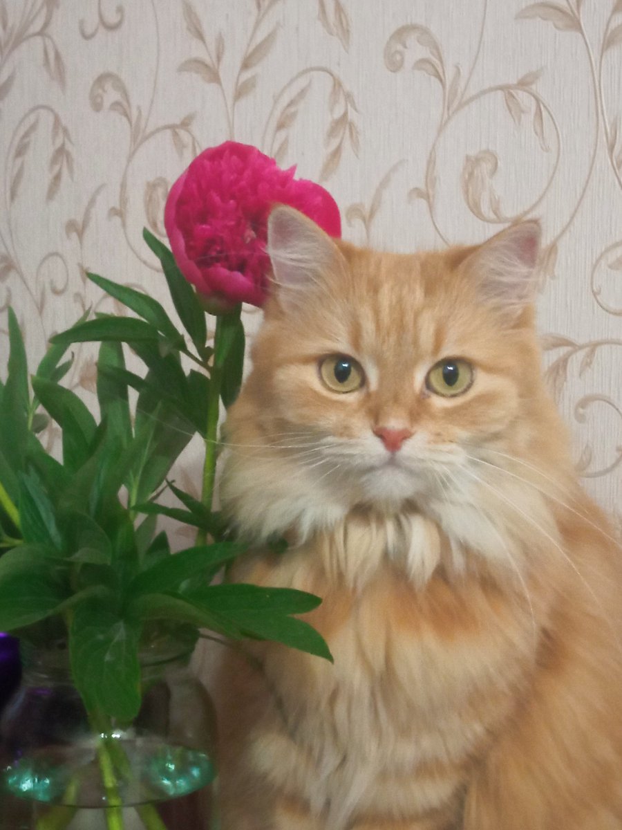 Deminillian's tweet photo. @smpryk ( мама фоткала ) https://t.co/WQq8al6a6m