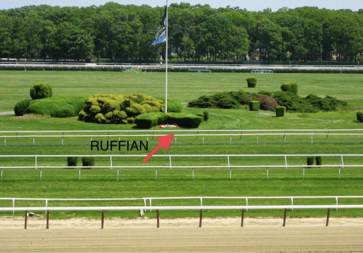 ShuveeIL's tweet photo. @erickalet What about those two graves? Can you still see them? #Ruffian #TimelyWriter https://t.co/C5TKOuLZDl