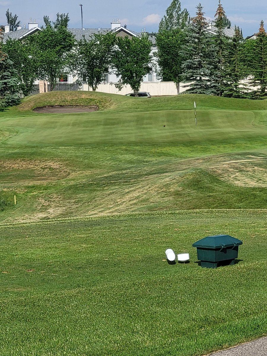 Dale Ekman tweet media