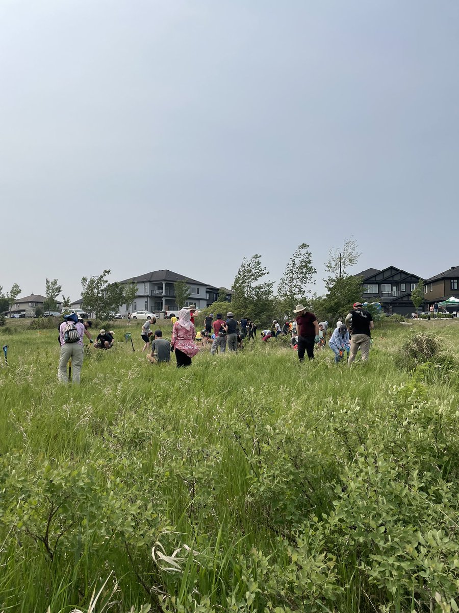 PhilDWeather's tweet image. Out with @UAlberta for #rootfortrees today.