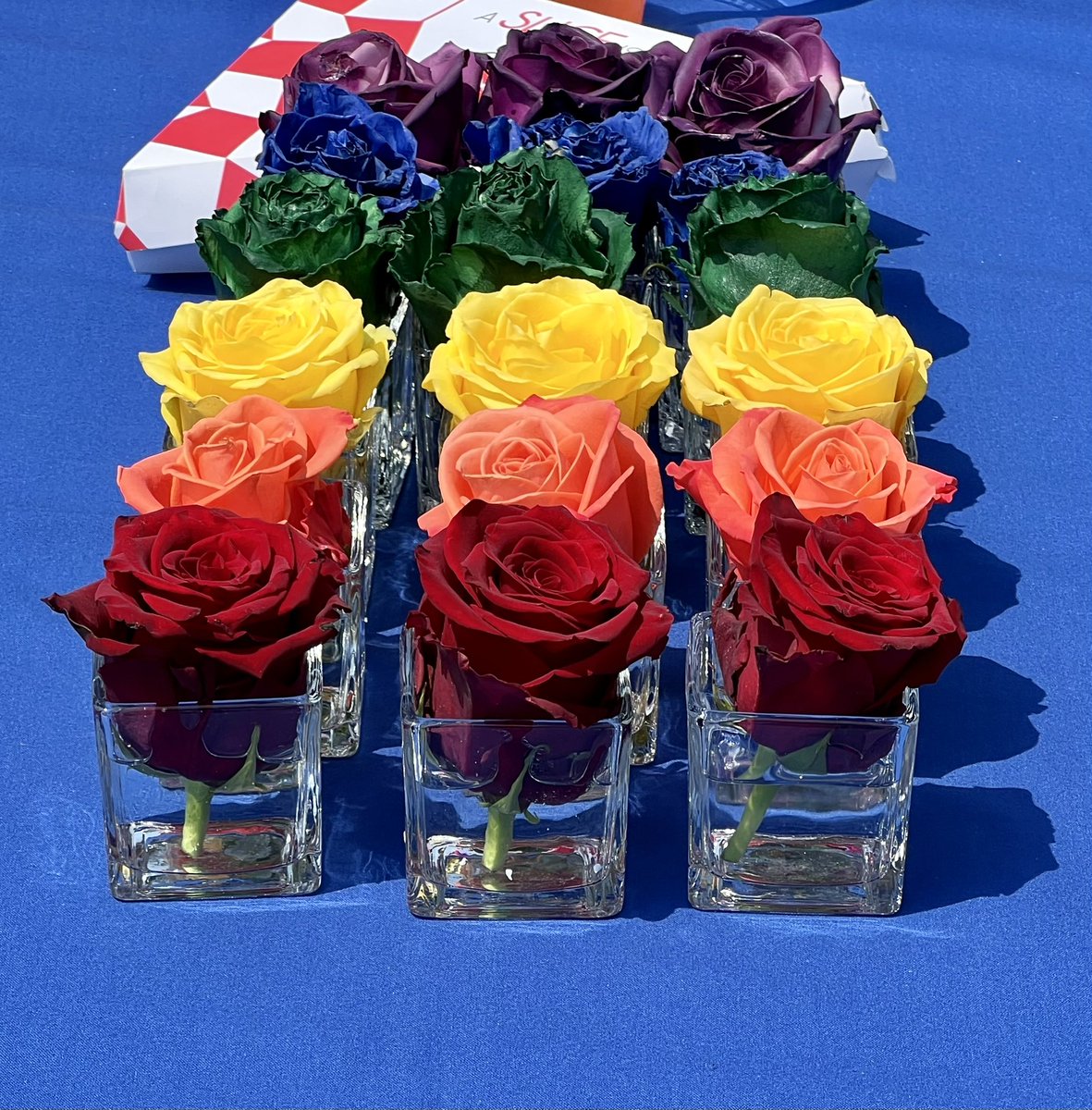 TTGltd's tweet photo. Largest Pride event @WhiteHouse ever! Thank you @POTUS for always having the LGBTQ’s communities back! https://t.co/LYi3zIhbOS
