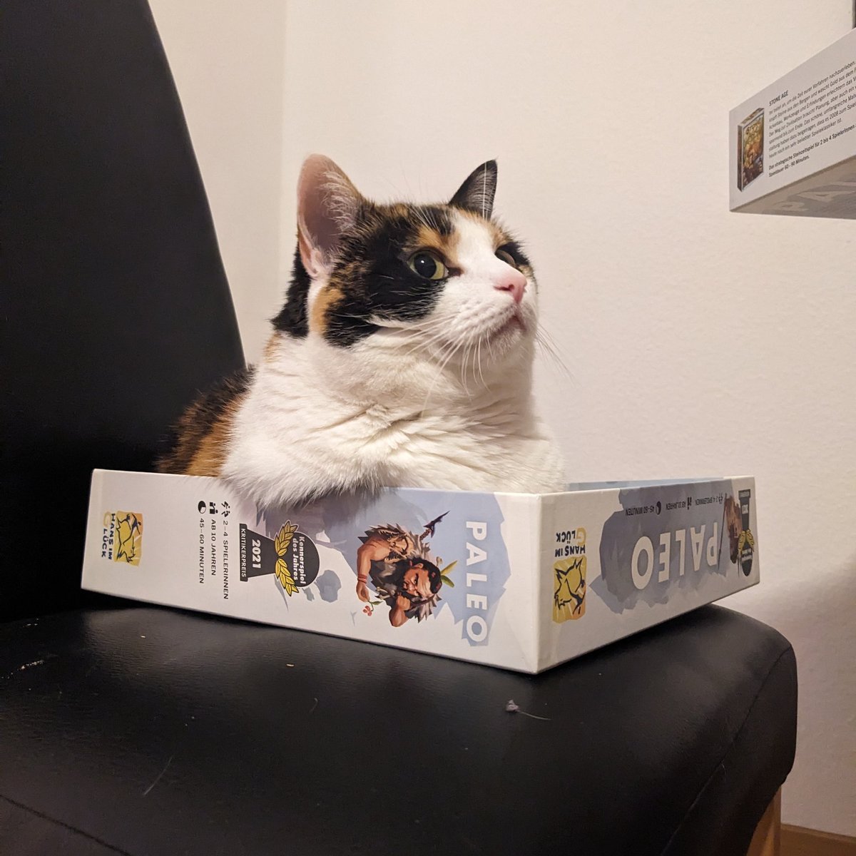 Ready for a board game night
