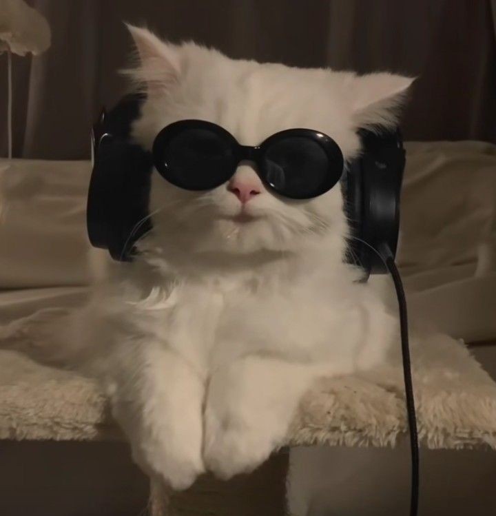 Hejka!
Nie jestem tutaj pierwszy raz, ale chciałbym poznać fajne osoby!! Nie wiem jak teraz znajduje się znajomych, spróbuję tak!
#heart - wpadnę na dm!¡
#rt - pójdę z wami na kawkę <33