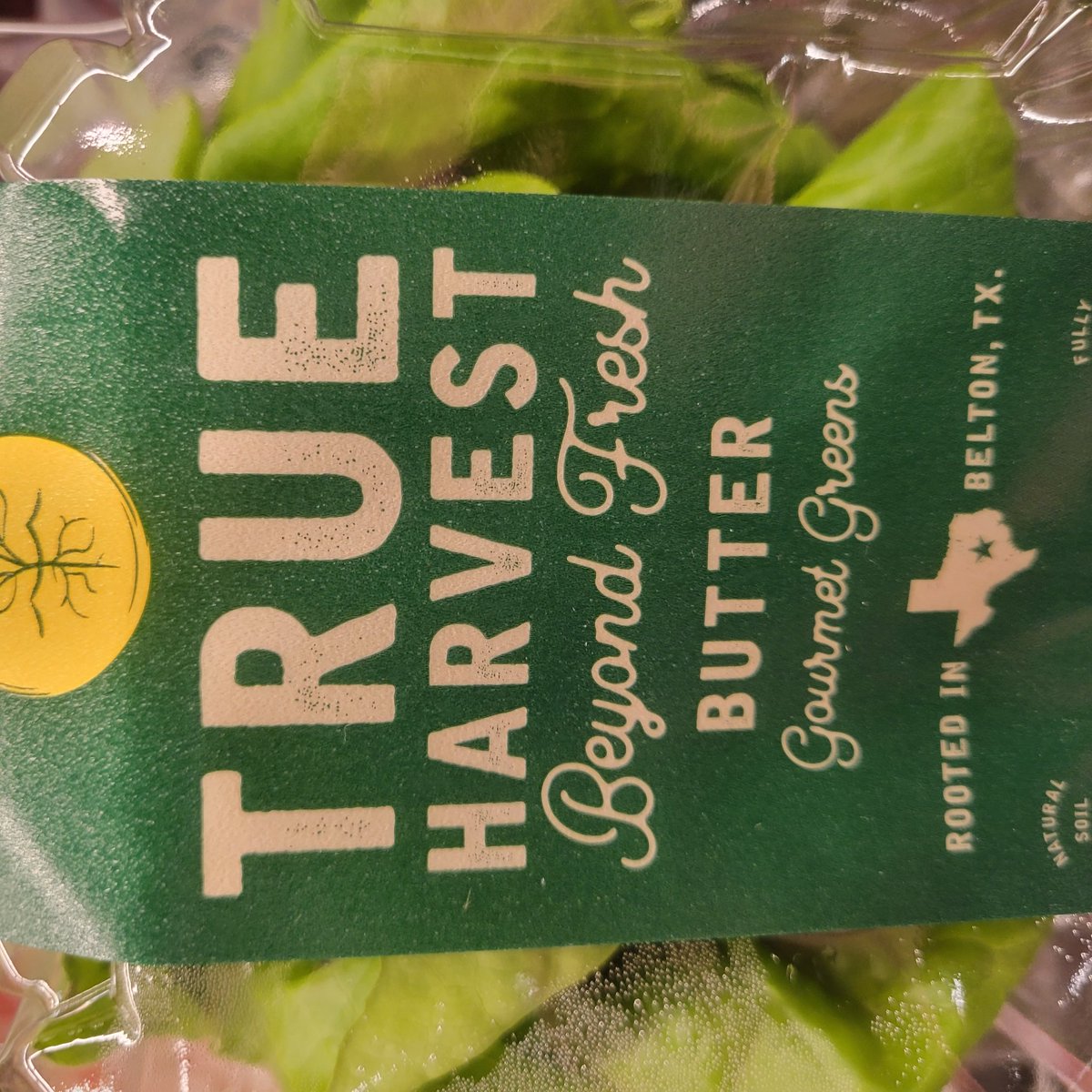 Excited to meet the @TrueharvestFarm team & try their Texas butter gourmet greens @CentralMarket. #Hydroponics #sustainableagriculture #Texas owned @TexasFarmBureau @BorlaugTAMU