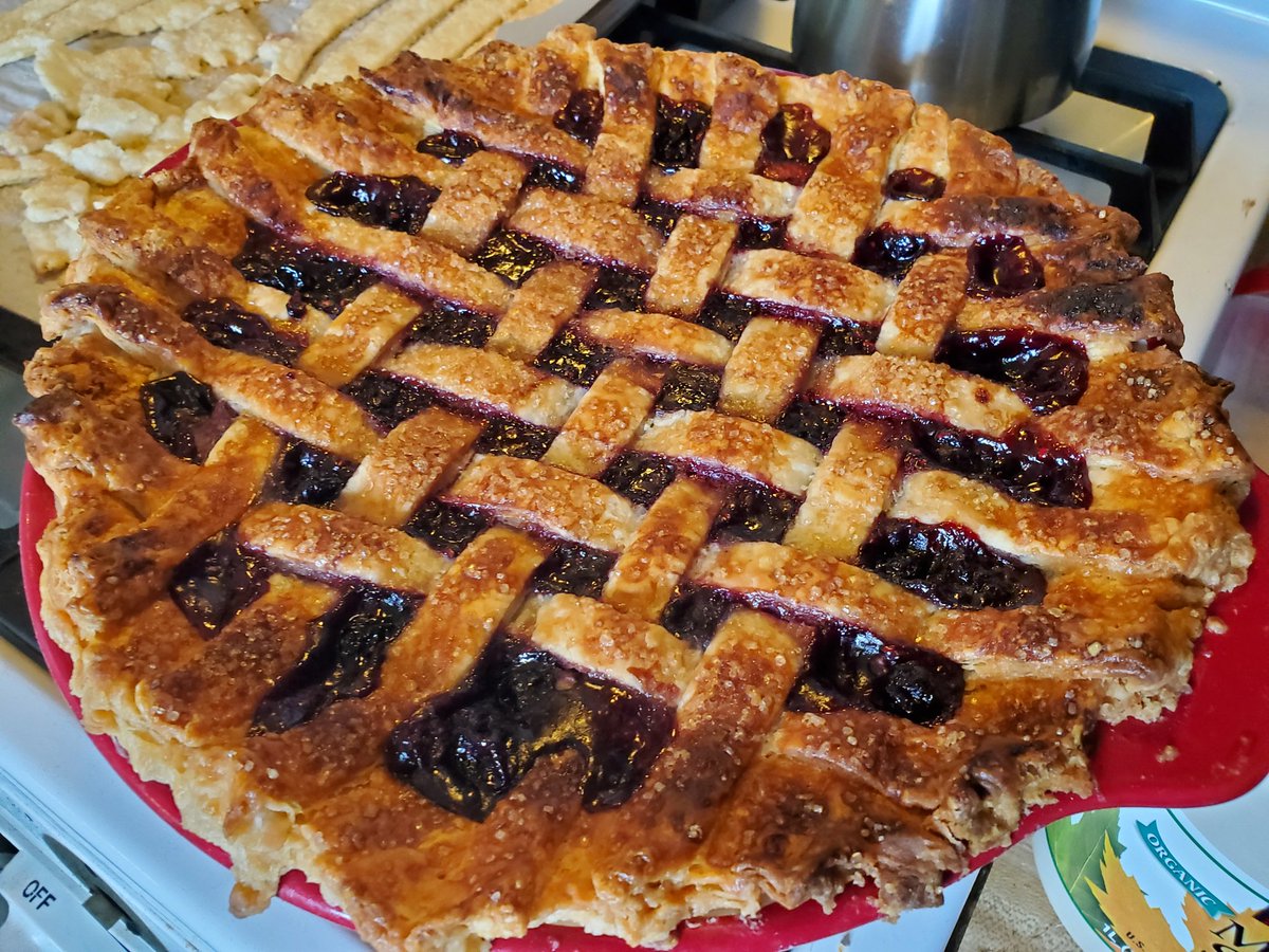 I'm bummed that it got a little dark on top, but I'm still pretty excited about this pie. Sourdough crust, four berry filling 😍