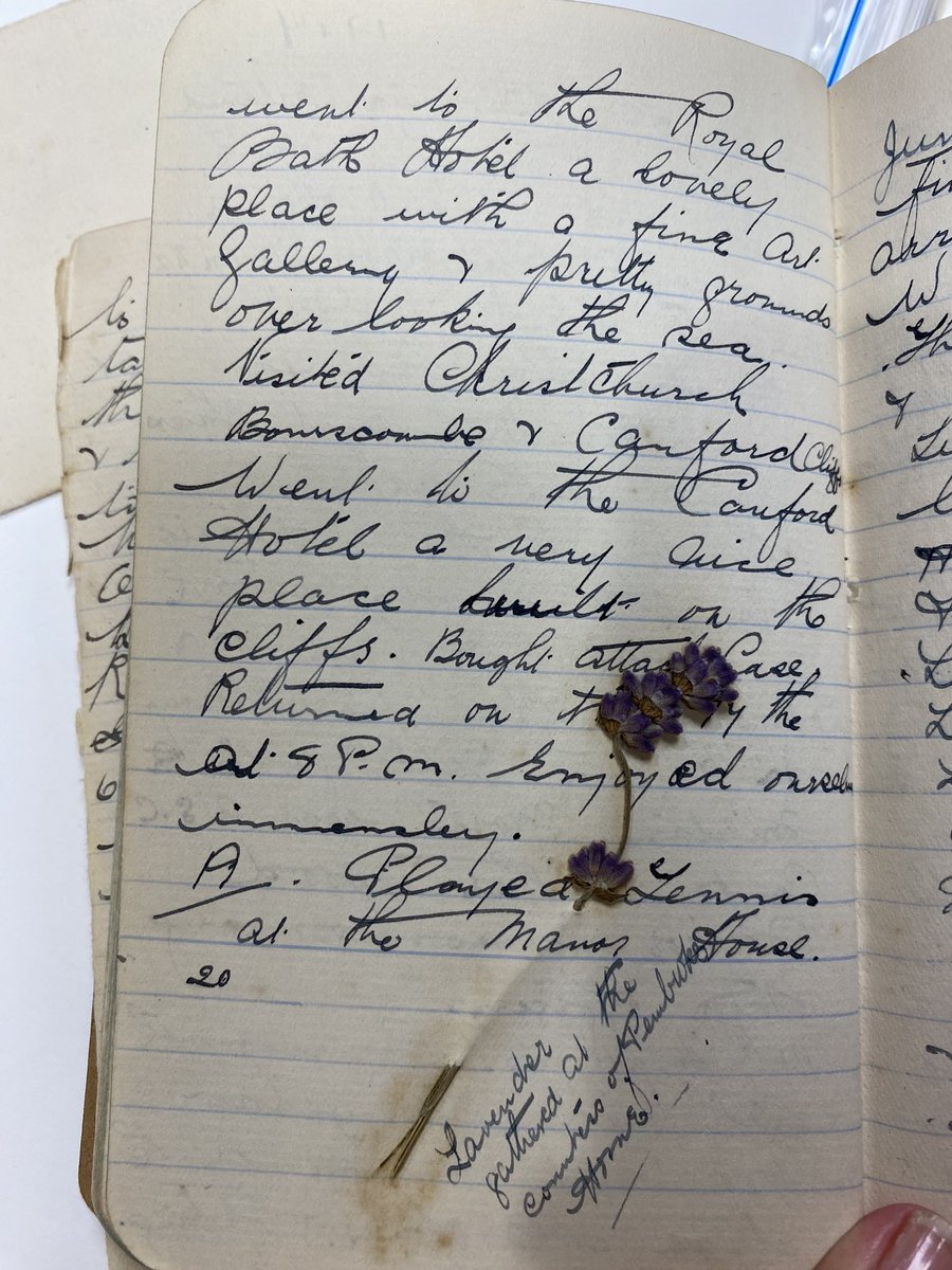 1/2 My 2 passions combine again in this diary page of Nurse Mabel Crook- a lavender flower - #aromatherapy #HistNursing -lavender oil is an antiseptic & was used by French in #WW1 developed by Rene Maurice Gattefossé. I sit on the scientific committee of the Gattefossé Foubdation