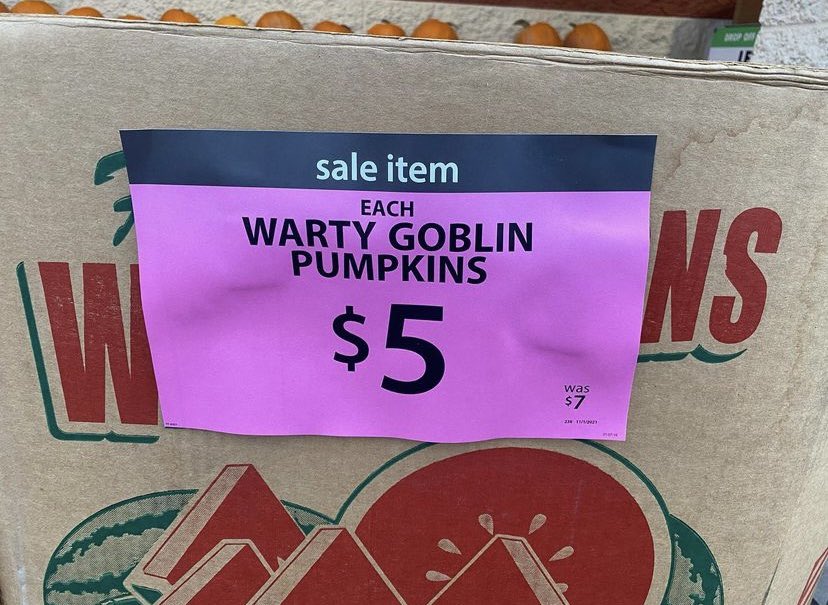 'Warty #Goblin Pumpkin' as found at #Festivalfoods
That's a B- babe 
#shopping #grocerystore #pumpkins #goblingrader #bgrade #fantastic