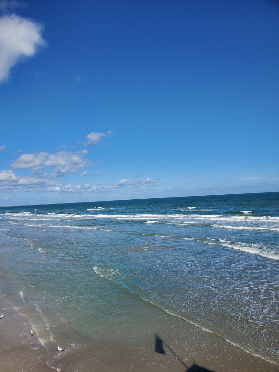 cbpier's tweet photo. Your beautiful shot of the Cocoa Beach skyline can land you $$$ for your next Westgate vacation! 🌅🌊 Upload a photo and win a chance to win $250 credit! 🏖️🌺🌴
↳ https://t.co/75mlIJc0GC https://t.co/oCWQxGE4B5
