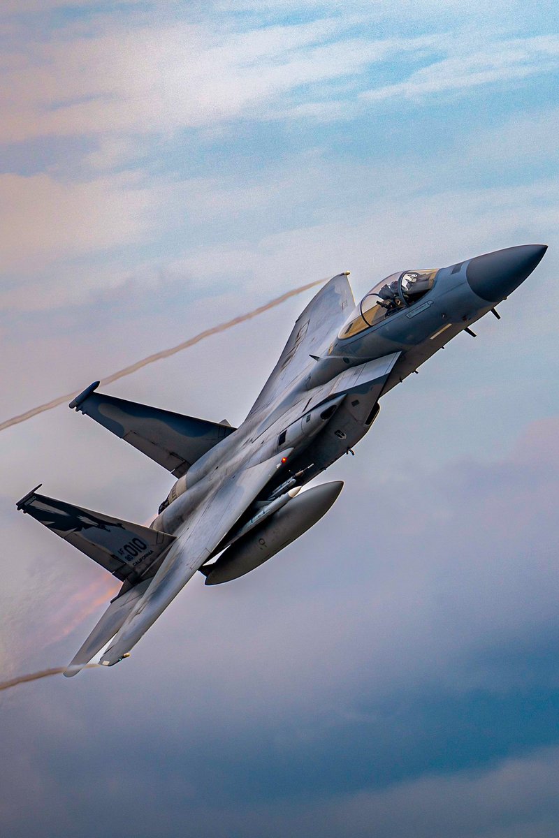J.J. on Twitter "An 🇺🇸F15C Eagle assigned to the 194th FS, Fresno ANG